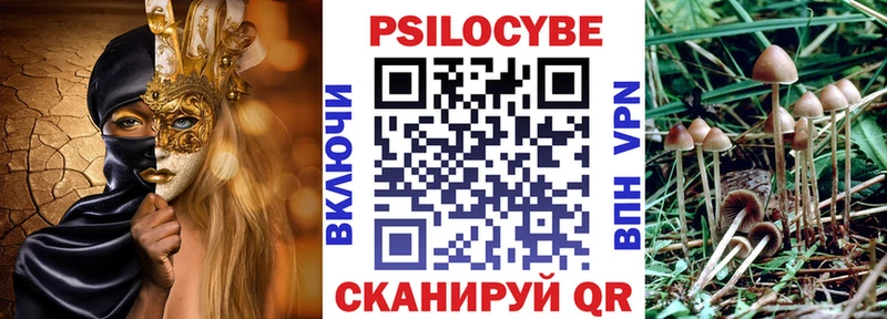 Псилоцибиновые грибы GOLDEN TEACHER  Ливны 